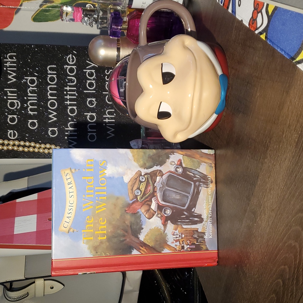 The WInd in the Willows Book/Mug Bundle